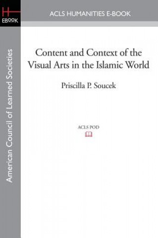 Kniha Content and Context of the Visual Arts in the Islamic World Priscilla P Soucek