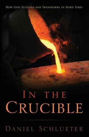 Knjiga In the Crucible Daniel Schlueter