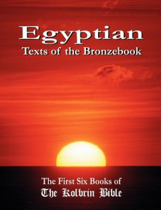Kniha Egyptian Texts of the Bronzebook Janice Manning