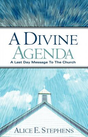 Könyv Divine Agenda Alice E Stephens