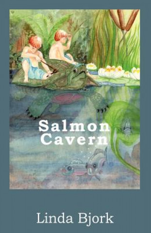 Knjiga Salmon Cavern Linda Bjork
