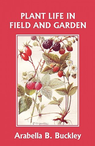 Knjiga Plant Life in Field and Garden (Yesterday's Classics) Arabella Buckley