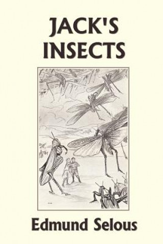 Libro Jack's Insects (Yesterday's Classics) Edmund Selous