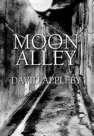 Livre Moon Alley David Appleby