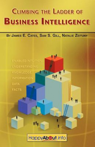 Kniha Climbing the Ladder of Business Intelligence Zeituny