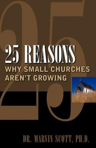 Kniha 25 Reasons Why Small Churches Aren't Growing Marvin Scott