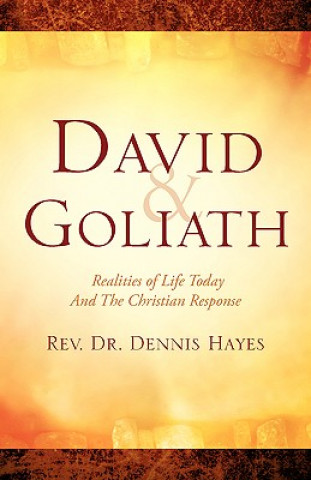 Kniha David & Goliath/ Realities of Life Today and the Christian Response Hayes