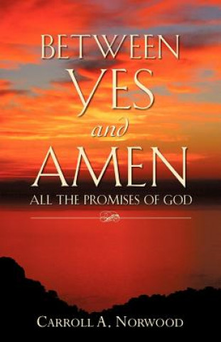 Könyv Between Yes and Amen Carroll A Norwood