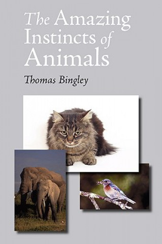 Libro Amazing Instincts of Animals Thomas Bingley