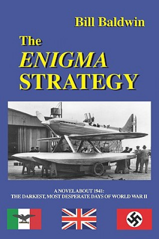 Könyv Enigma Strategy Bill Baldwin