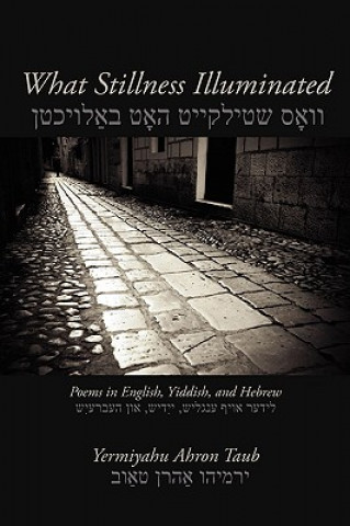 Carte What Stillness Illuminated: Poems in English, Yiddish, and Hebrew Yermiyahu Ahron Taub