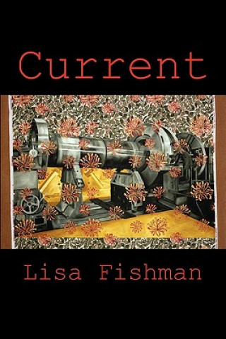 Book Current Lisa Fishman