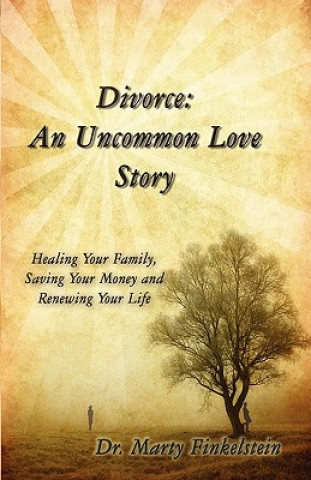 Livro Divorce Marty Finkelstein
