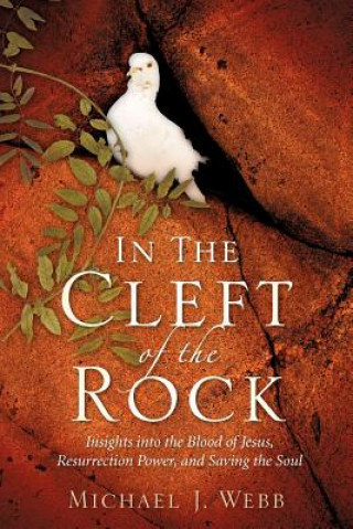 Książka In The Cleft Of The Rock Michael J Webb