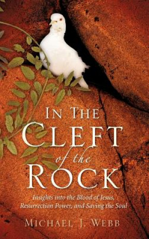 Книга In The Cleft Of The Rock Michael J Webb