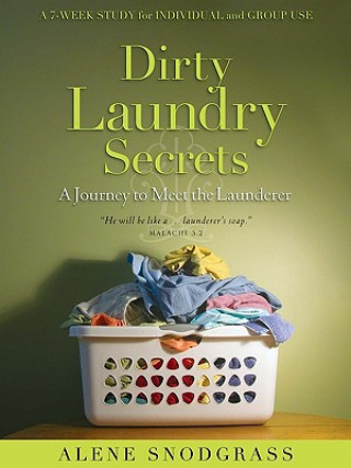 Libro Dirty Laundry Secrets Alene Snodgrass