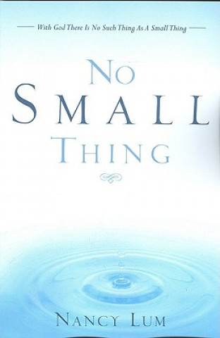 Buch No Small Thing Nancy Lum