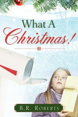 Könyv What A Christmas! B R Roberts