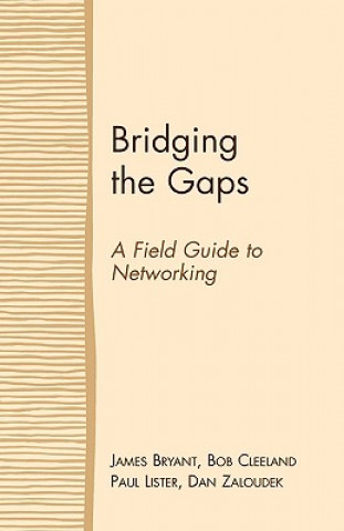 Kniha Bridging the Gaps Dan Zaloudek