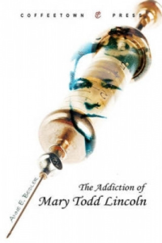 Kniha Addiction of Mary Todd Lincoln Ann E Beidler