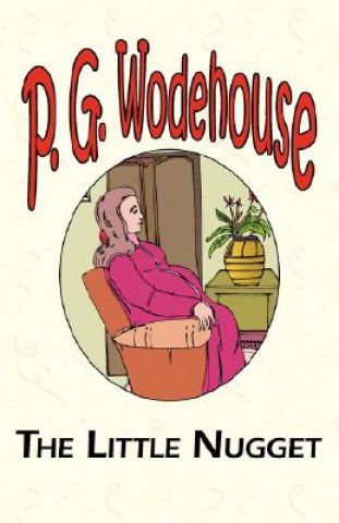 Könyv Little Nugget P G Wodehouse