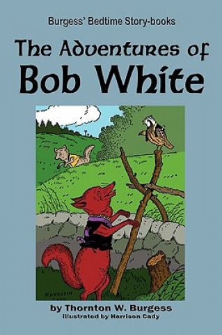 Kniha Adventures of Bob White Thornton W Burgess
