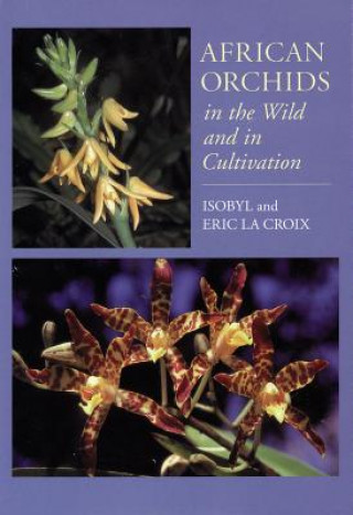 Book African Orchids in the Wild and in Cultivation Eric la Croix