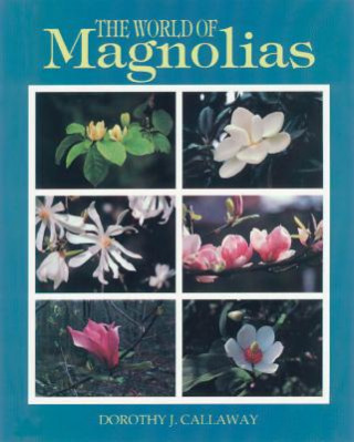 Könyv World of Magnolias Dorothy J. Callaway