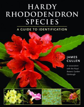 Kniha Hardy Rhododendron Species Cullen