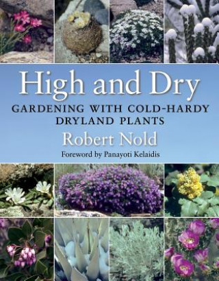 Carte High and Dry Robert Nold