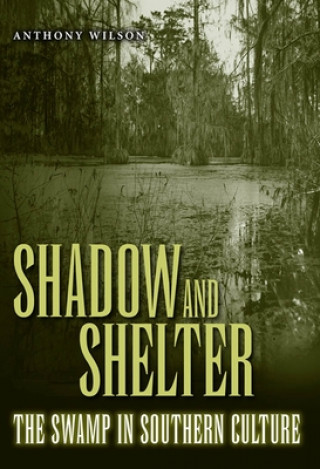 Buch Shadow and Shelter Anthony Wilson