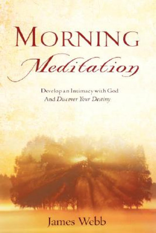 Книга Morning Meditation James Webb