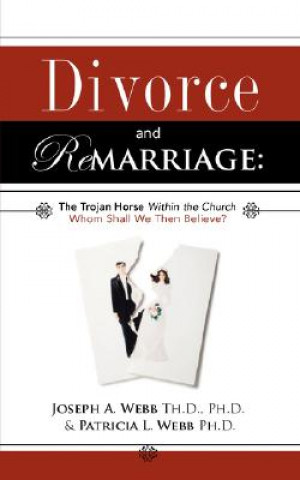 Knjiga Divorce and Remarriage Patricia L Webb