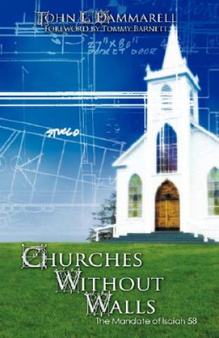 Knjiga Churches Without Walls John L Dammarell