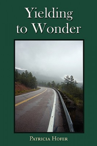 Книга Yielding to Wonder Patricia Hofer