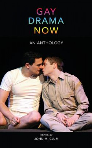 Buch Gay Drama Now John M. Clum