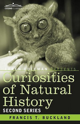 Kniha Curiosities of Natural History, in Four Volumes Francis T Buckland