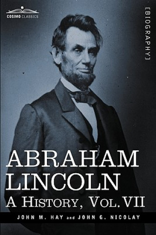 Kniha Abraham Lincoln John George Nicolay