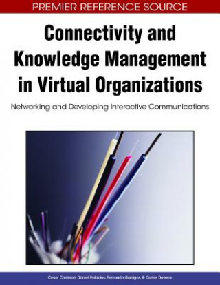 Könyv Connectivity and Knowledge Management in Virtual Organizations Cesar Camison