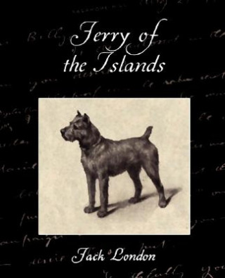 Könyv Jerry of the Islands Jack London