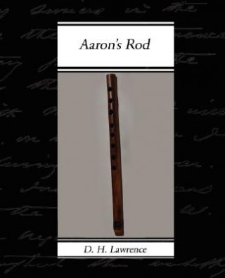 Książka Aaron's Rod D H Lawrence