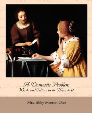 Knjiga Domestic Problem - Work and Culture in the Household Abby Morton Diaz