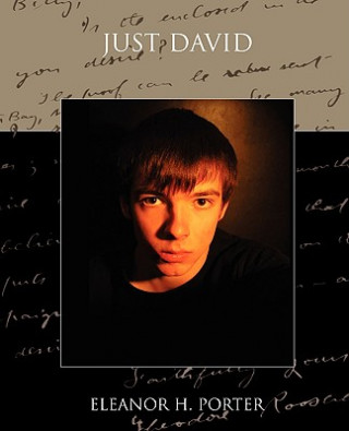 Книга Just David Eleanor H Porter