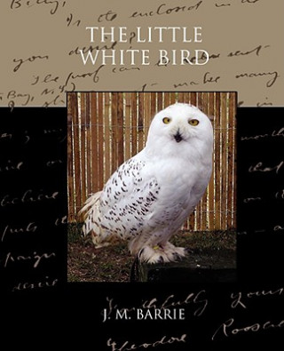 Buch Little White Bird James Matthew Barrie