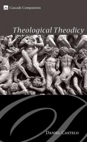 Buch Theological Theodicy Daniel Castelo