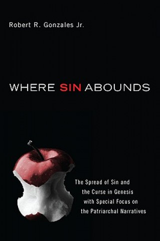 Kniha Where Sin Abounds Robert R. R. Gonzales