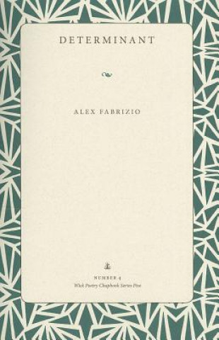 Libro Determinant Alex Fabrizio