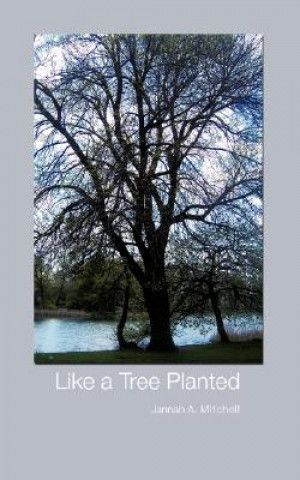 Kniha Like a Tree Planted Jannah A Mitchell