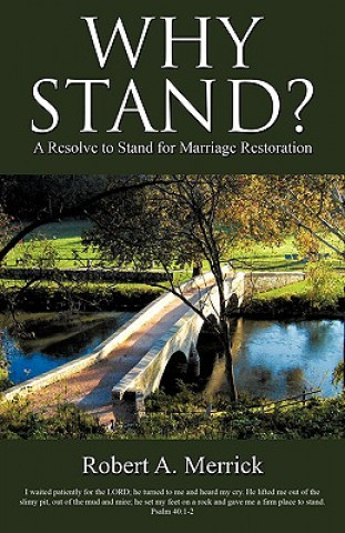 Книга Why Stand? Robert A Merrick