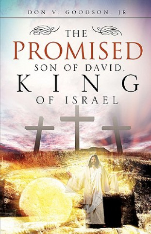 Knjiga Promised Son of David, King of Israel Goodson